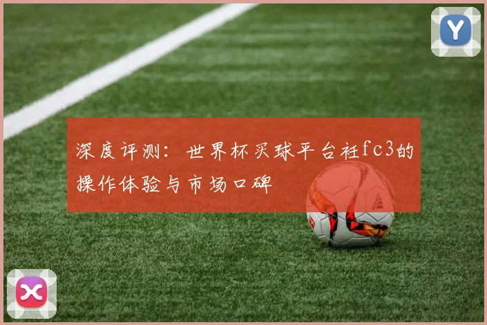 深度评测：世界杯买球平台衽fc3的操作体验与市场口碑