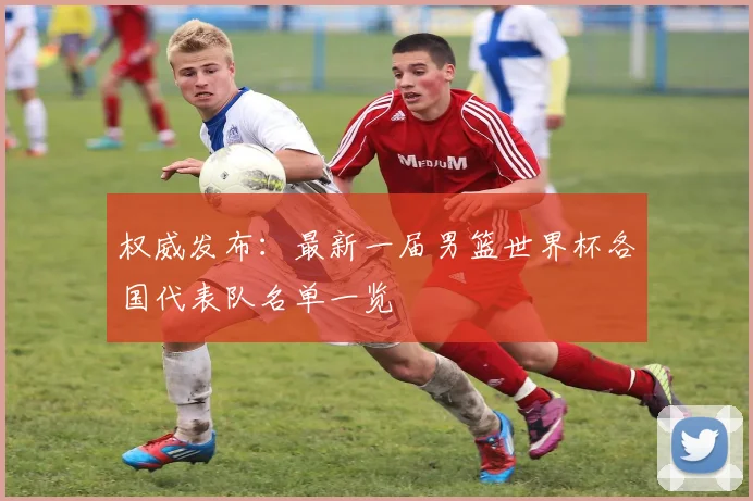 权威发布:最新一届男篮世界杯各国代表队名单一览