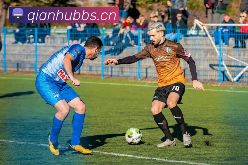 星空体育登录官网入口平台生态图